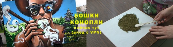 крисы Богородск