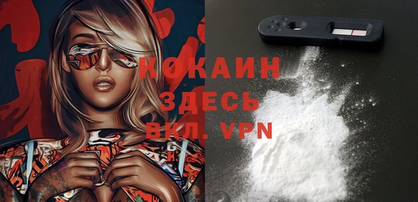 прущие грибы Белоозёрский