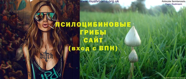 дмт Богданович