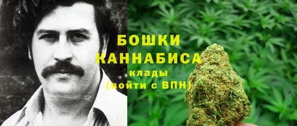 прущие грибы Белоозёрский