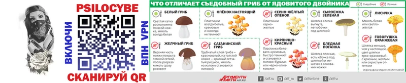 Галлюциногенные грибы Psilocybe  наркота  кракен как зайти  Пионерский 